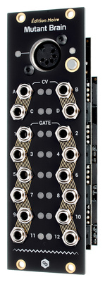 Hexinverter Électronique Mutant Brain