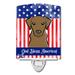 American Flag and Wirehaired Dachshund Ceramic Night Light