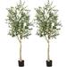 Costway 6 Feet Artificial Olive Tree in Cement Pot-2 Pieces