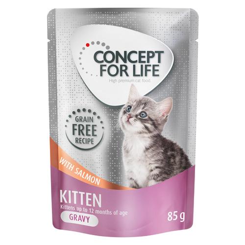 Concept for Life Kitten Lachs getreidefrei – in Soße – 48 x 85 g