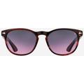 AO 1004 Sunglasses Cardinal Frame SunVogue Pink Gradient AOLite Nylon Lenses Polarized 51-18-145 004351ST--PGN-P