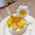 Décoration de gâteau avec visage souriant de dessin animé variété de fleurs ci-après les règles