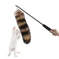 Baguette de pêche en peluche pour chat jouets pour chaton canne à pêche intérieur extérieur