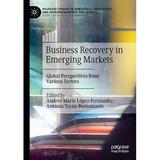 Palgrave Studies in Democracy Innovation and Entrepreneurs: Business Recovery in Emerging Markets: Global Perspectives from Various Sectors (Paperback)