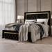 Willa Arlo™ Interiors Crossett Upholstered Panel Bed Metal in Black | 54.5 H x 62.6 W x 87.2 D in | Wayfair 62DCF1969B9542158D9005B6BB86144D
