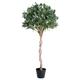 Blooming Artificial - Artificial Bay Tree in Pot for Garden, Home, and Office, Year Round Decorative Foliage, UV and Water Resistant (Green) (120cm)