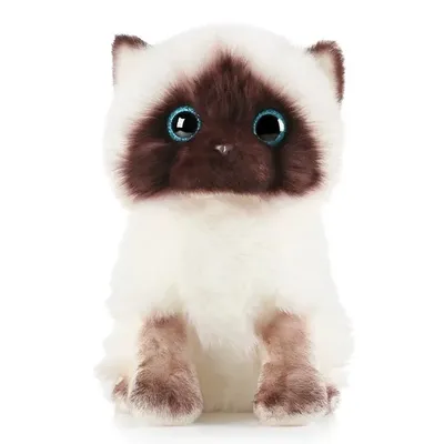Jouet en peluche chat siamois mignon réaliste yeux à paillettes bleues visage brun beurre et