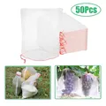 Sacs de protection des fruits filet anti-insectes de jardin avec ficelle de proximité sac en