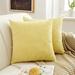 Latitude Run® Mikaylen Chenille Throw Square Pillow Cover Chenille | 18 H x 18 W x 2 D in | Wayfair 13ABBCD16C0D4BA1B8CAB854C4777EE9