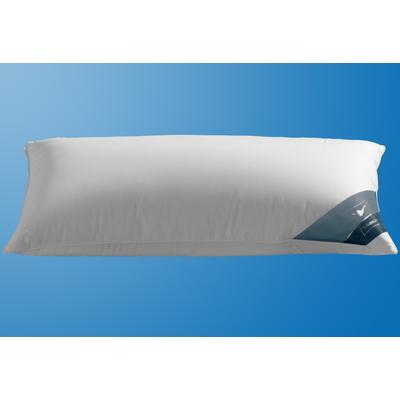 Federkopfkissen HAEUSSLING "Königstraum", weiß, B:40cm L:80cm, Füllung: 85% Federn, 15% Daunen, Kopfkissen Image
