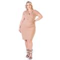 Short Sleeve V Neck Plus Size Faux Wrap Dress