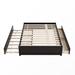 Red Barrel Studio® Full/Double Storage Platform Bed Wood in Brown | 15.67 H x 57 W x 79.5 D in | Wayfair BCA516124CE94E10979BEFEA597C34D7