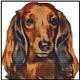 CROSS STITCH KIT - long haired dachshund 23cmx23cm Full Kit or Chart only