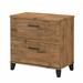 UrbanPro 2 Drawer Lateral File Cabinet in Fresh Walnut - Engineered Wood