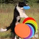 Soucoupe volante en caoutchouc pour chien jouet interactif pour grand chien accessoires pour chien