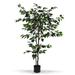 Freeport Park® Faux Ficus Tree in Pot Polyester/Plastic | 59.1 H x 29.5 W x 6 D in | Wayfair DD50A6EF823F4554B732C2EB1B9DD9F3