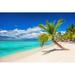 Highland Dunes Beach w/ Palm Trees by Anmfoto - Wrapped Canvas Photograph Canvas | 8 H x 12 W x 1.25 D in | Wayfair