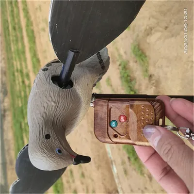 Moruning Dove Leurres Pigeon Saison de chasse Vente en gros