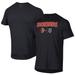 Men's Under Armour Black Delmarva Shorebirds Tech T-Shirt