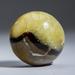 Astro Gallery of Gems Genuine Polished Septarian Palm Stone Stone in Gray/Yellow | 1.5 H x 1.75 W x 1 D in | Wayfair ST-PS1