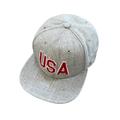 American Eagle Outfitters Accessories | American Eagle Gray Usa Flat Bill Hat | Color: Gray/Red | Size: Os