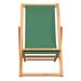 Arlmont & Co. Folding Beach Chair Solid Teak Wood Solid Wood in Green/Brown | 38.58 H x 22.05 W x 41.34 D in | Wayfair