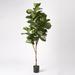 Primrue 82.5" Fiddle Leaf Fig Tree In Plastic Pot Polyester/Plastic | 82.5 H x 28 W x 28 D in | Wayfair F41C73F7219E45A8B42824C09B4D2A20