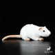 Souris Blanche Haute Fidélité Anime Rats Mignons Peluche Souris Albinos Animaux Réalistes