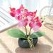 Yannee Artificial Orchid Phalaenopsis Arrangement Flower Bonsai with Vase for Room Table Centerpieces Artificial Butterfly Orchid Potted Flower Phalaenopsis Home Office Decor with Flowerpot