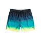 Billabong All Days Fade - Schwimmshorts für Männer