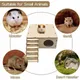 Maison en bois pour Hamster échelle d'escalade abri pour petit Animal en bois naturel pour jouer