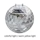Solar Floating Pool Lights Swimming Pool Accessories Waterproof Solar Pood Lights for Pond Garden