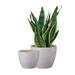 Happon Set of 2 Ceramic Planter Pots 5.5 + 6.5 inch Flowerpot Indoor Plant Pot with Drainage Hole Modern Garden Flower Containers for Outdoor Home Decor White