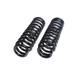 Front Coil Spring Set - Compatible with 1995 - 2004 Toyota Tacoma 1996 1997 1998 1999 2000 2001 2002 2003