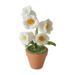 Hand Woven Artificial Flowers Desk Ornament for Decorating Bedrooms Living Rooms Windows Desks Room Home Decor Accessories Durable White