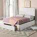 Wade Logan® Audeline Tufted Storage Panel Bed Upholstered/Polyester in White | 48.4 H x 57.1 W x 81.3 D in | Wayfair
