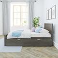 Lark Manor™ Aiste Full Solid Wood Trundle Panel Bed Wood in Gray/Brown | 37.5 H x 57 W x 80.25 D in | Wayfair 4D024F379FAD4787842357348256A99E