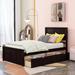 Twin 2 Drawer Platforms Bed by Red Barrel Studio® Wood in Brown | 41.4 H x 42.8 W x 76.1 D in | Wayfair 65FA5E6725D341AA8DA6938079EB0DA1