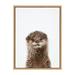 Ebern Designs Sylvie Animal Studio Otter Framed Canvas By Amy Peterson Art Studio 18X24 Canvas in Gray | 24 H x 18 W x 1.62 D in | Wayfair