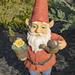 Trinx 20.5" Tall Spring Gnome Garden Statue w/ Flower Pot & Watering Can Concrete in Blue/Brown/Red | 20.5 H x 9.45 W x 7.48 D in | Wayfair