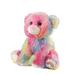 New Record Your Own Plush 8 Inch Rainbow Bear Stuffed Animal For Kids