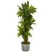 58â€� Corn Stalk Dracaena Artificial Plant in Black Embossed Tin Planter (Real Touch)