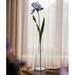Faux Artificial Iris Flower Stem 31.5 Tall Silk
