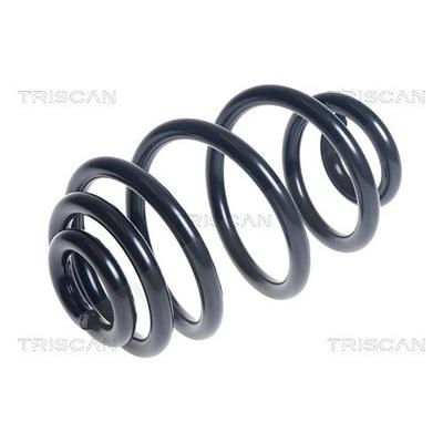 Triscan Fahrwerksfeder [Hersteller-Nr. 875011173] für BMW Image
