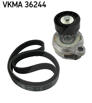 Skf Keilrippenriemensatz [Hersteller-Nr. VKMA36244] für Volvo Image