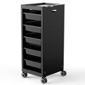 TASALON Budget Salon Trolley Cart with Wheels for Extra Storage 5 Drawers & dryer holder Space Saving Salon Cart with Lighter & Strong Material Multipurpose Beauty Cart Hair Cart Tattoo Tray Cart