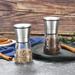 SC0GO Salt & Pepper Grinder Set Of 4 - Adjustable Ceramic Sea Salt Grinder & Pepper Grinder Stainless Steel/Glass/Metal in Gray | Wayfair YQ-P171