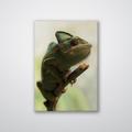 Loon Peak® Climbing Chameleon - Photograph Metal in Green | 40 H x 28 W x 0.12 D in | Wayfair D6699D4A6788496683F7B346F62C4B27