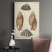 Dovecove Antique Knorr Shells V - Wrapped Canvas Painting Canvas, Solid Wood in Brown/Gray | 12 H x 8 W x 1.5 D in | Wayfair