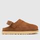 UGG goldenstar clog sandals in chestnut